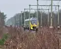 Treinverkeer gestremd door aanrijding met persoon