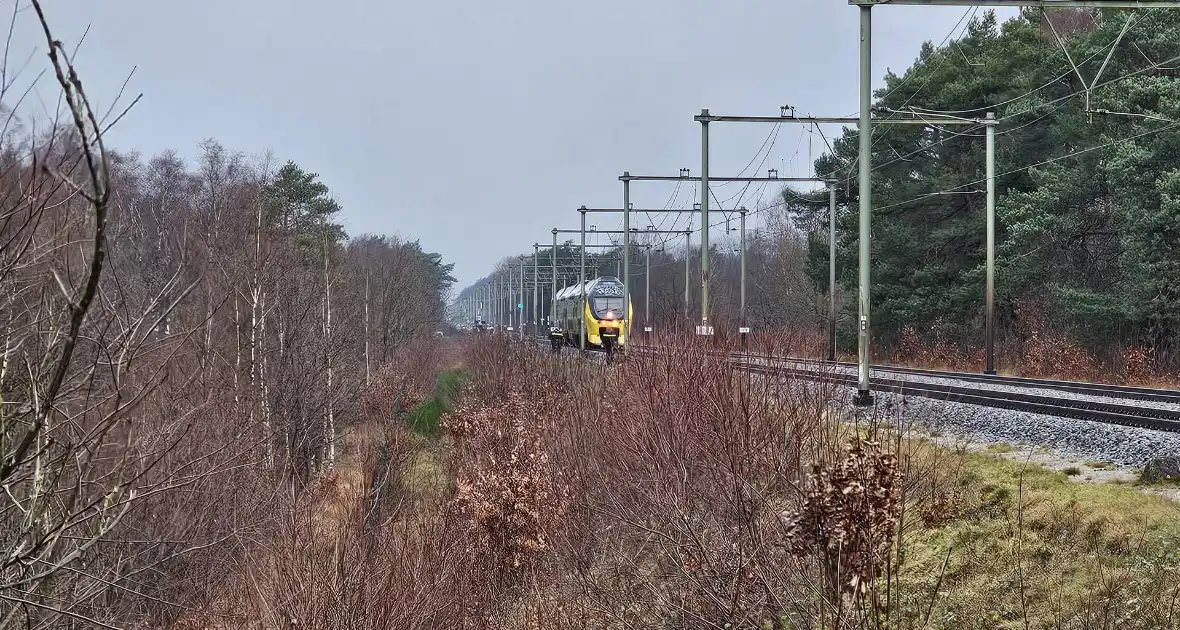 Treinverkeer gestremd door aanrijding met persoon - Foto 1