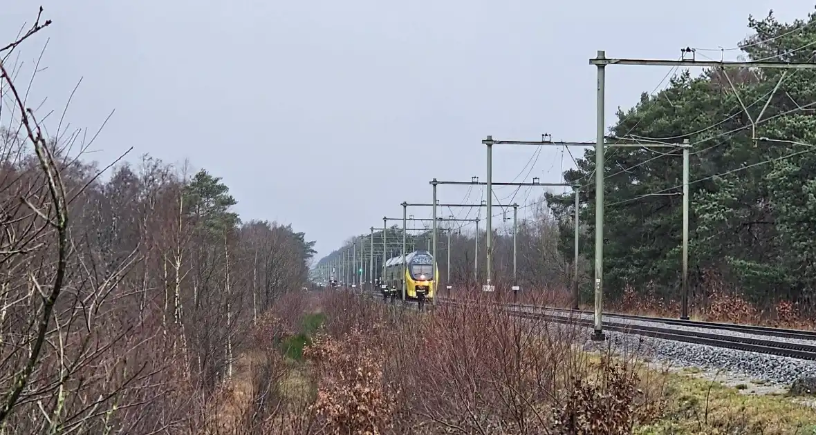 Treinverkeer gestremd door aanrijding met persoon - Foto 4