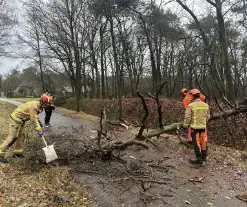 Omgewaaide boom verspert fietspad