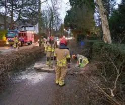 Weg afgesloten door omgevallen boom