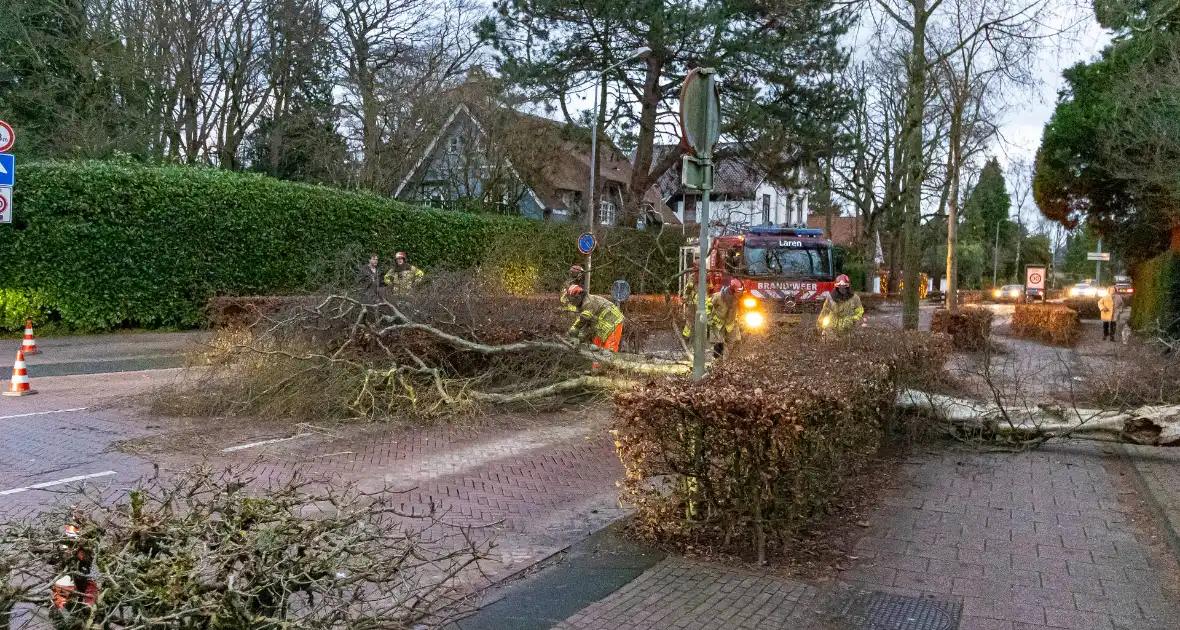 Weg afgesloten door omgevallen boom - Foto 1