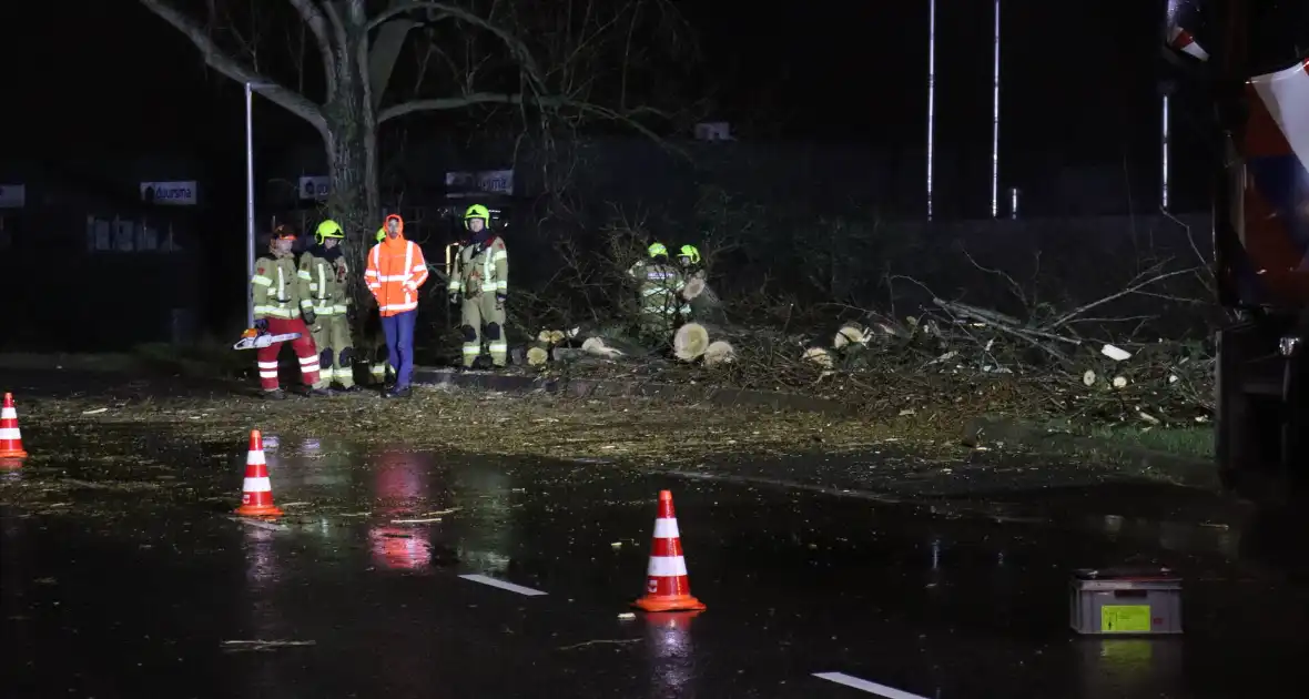 Meerdere bomen omver door storm