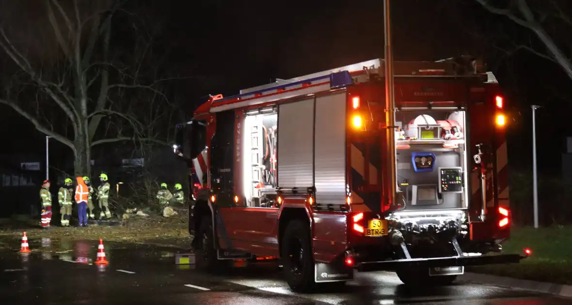 Meerdere bomen omver door storm - Foto 1