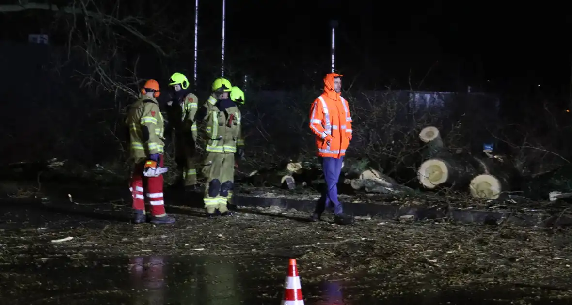 Meerdere bomen omver door storm - Foto 2