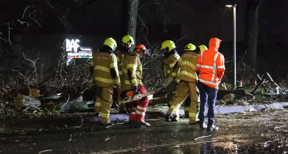 Meerdere bomen omver door storm - Foto 3