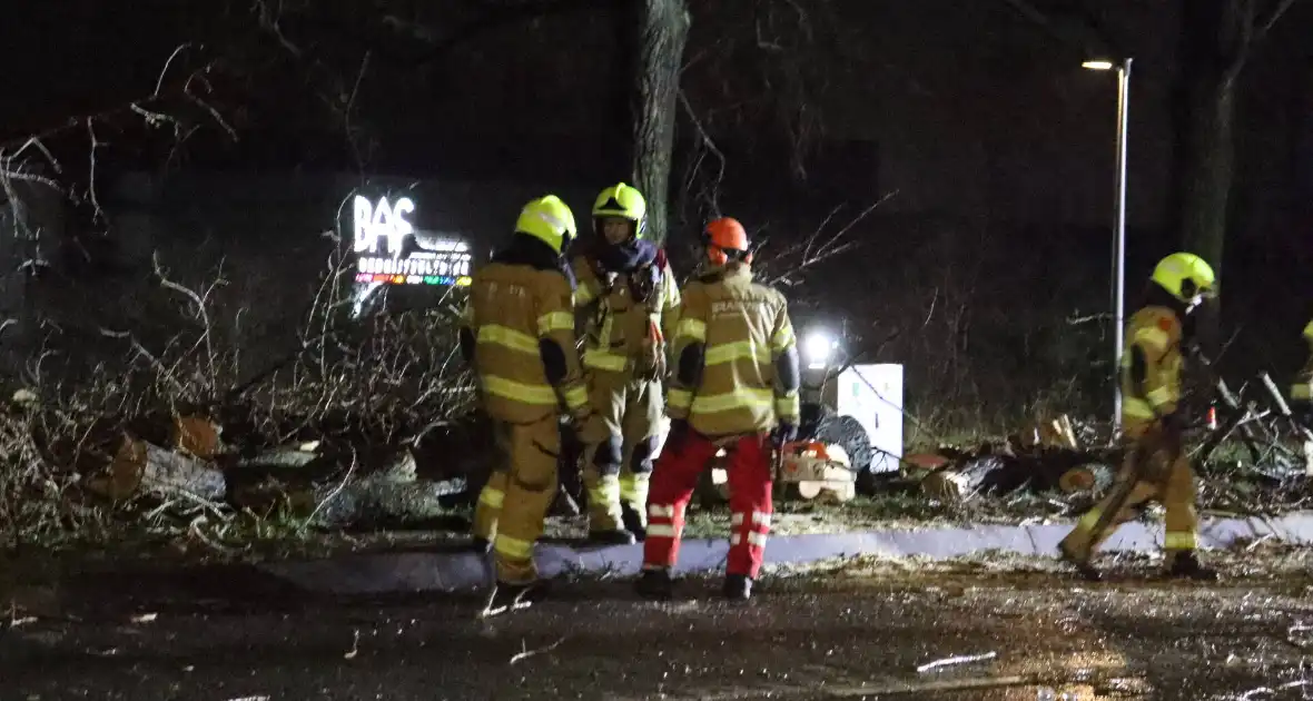 Meerdere bomen omver door storm - Foto 4