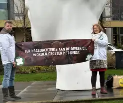 Stille tocht door partij van de dieren