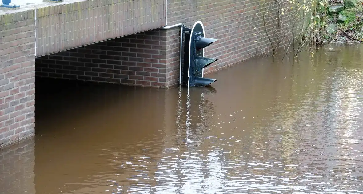 Hoogwater zet uiterwaarden van de Vecht onder water
