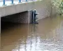 Hoogwater zet uiterwaarden van de Vecht onder water