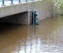 Hoogwater zet uiterwaarden van de Vecht onder water