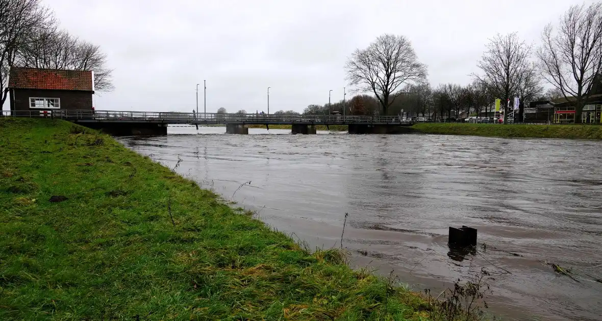 Hoogwater zet uiterwaarden van de Vecht onder water - Foto 3
