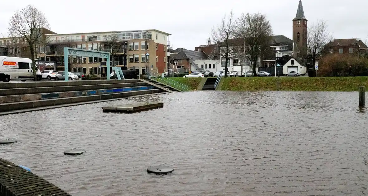Hoogwater zet uiterwaarden van de Vecht onder water - Foto 5