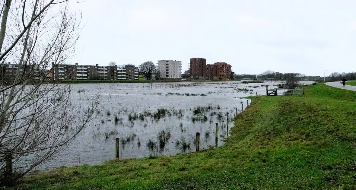 Hoogwater zet uiterwaarden van de Vecht onder water - Foto 6
