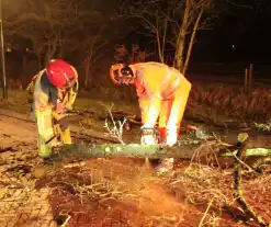 Boom valt op weg door harde wind