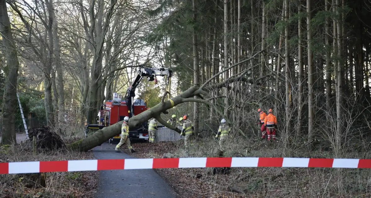 Groot materieel ingezet voor boom over fietspad