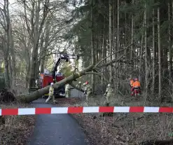 Groot materieel ingezet voor boom over fietspad