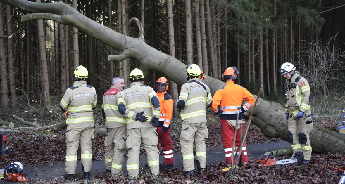 Groot materieel ingezet voor boom over fietspad - Foto 1