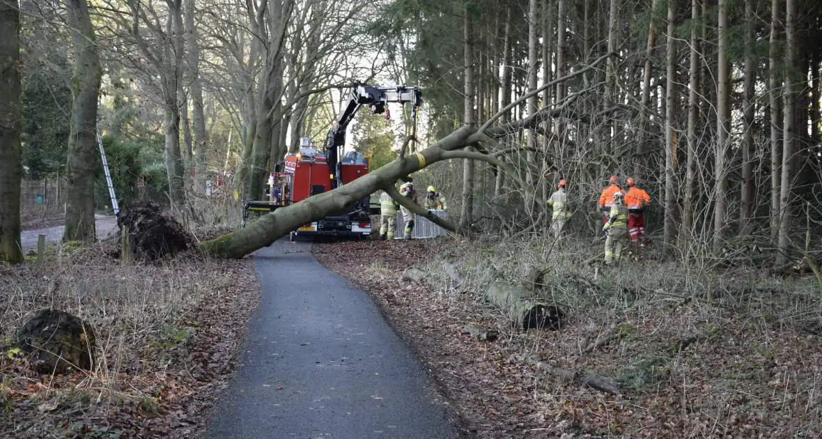 Groot materieel ingezet voor boom over fietspad - Foto 10