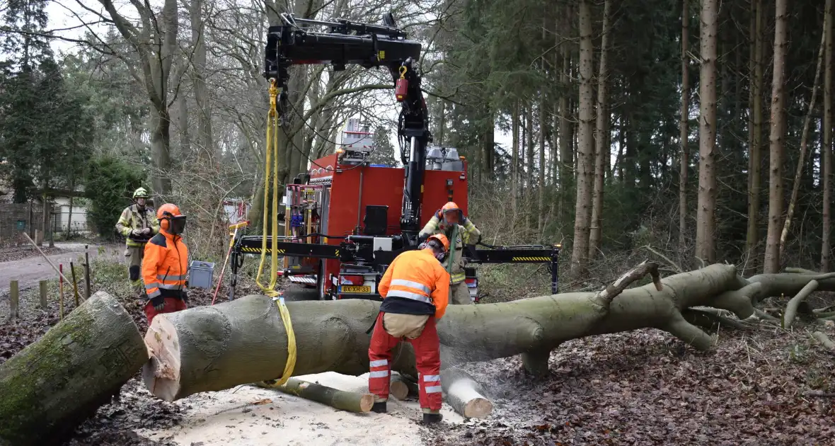 Groot materieel ingezet voor boom over fietspad - Foto 11