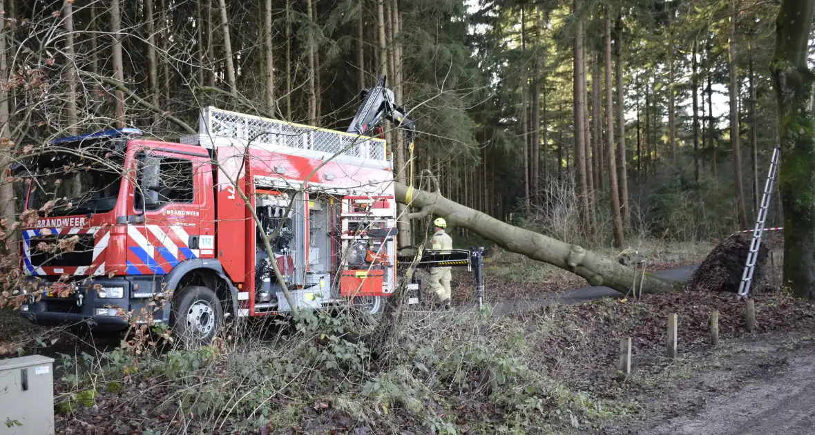 Groot materieel ingezet voor boom over fietspad - Foto 2