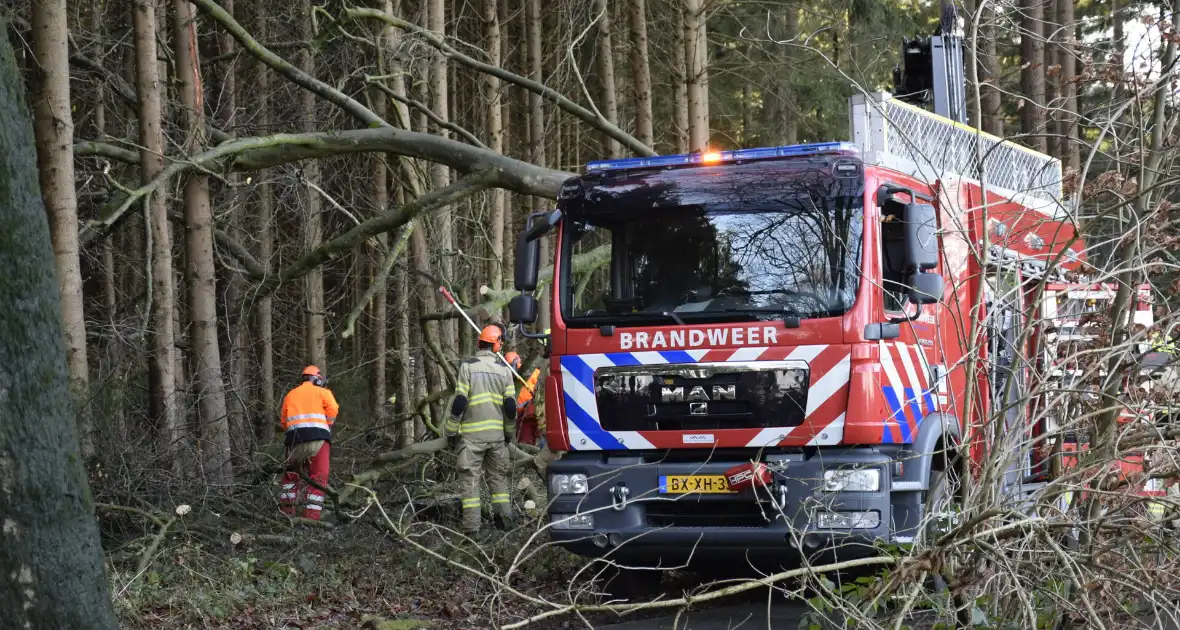 Groot materieel ingezet voor boom over fietspad - Foto 3