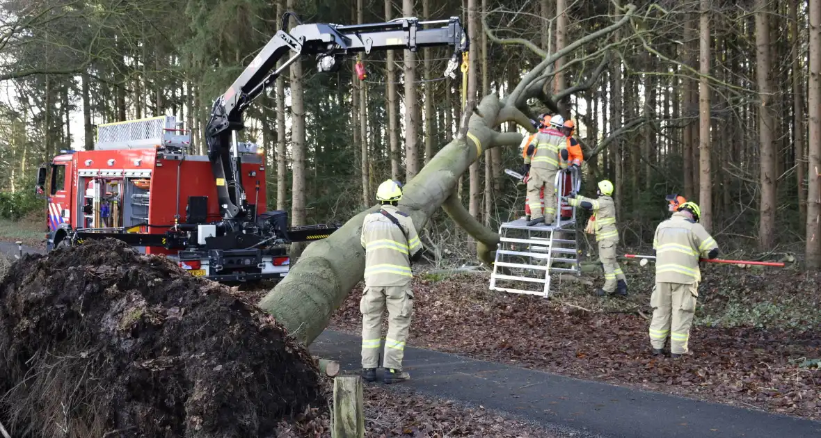 Groot materieel ingezet voor boom over fietspad - Foto 5