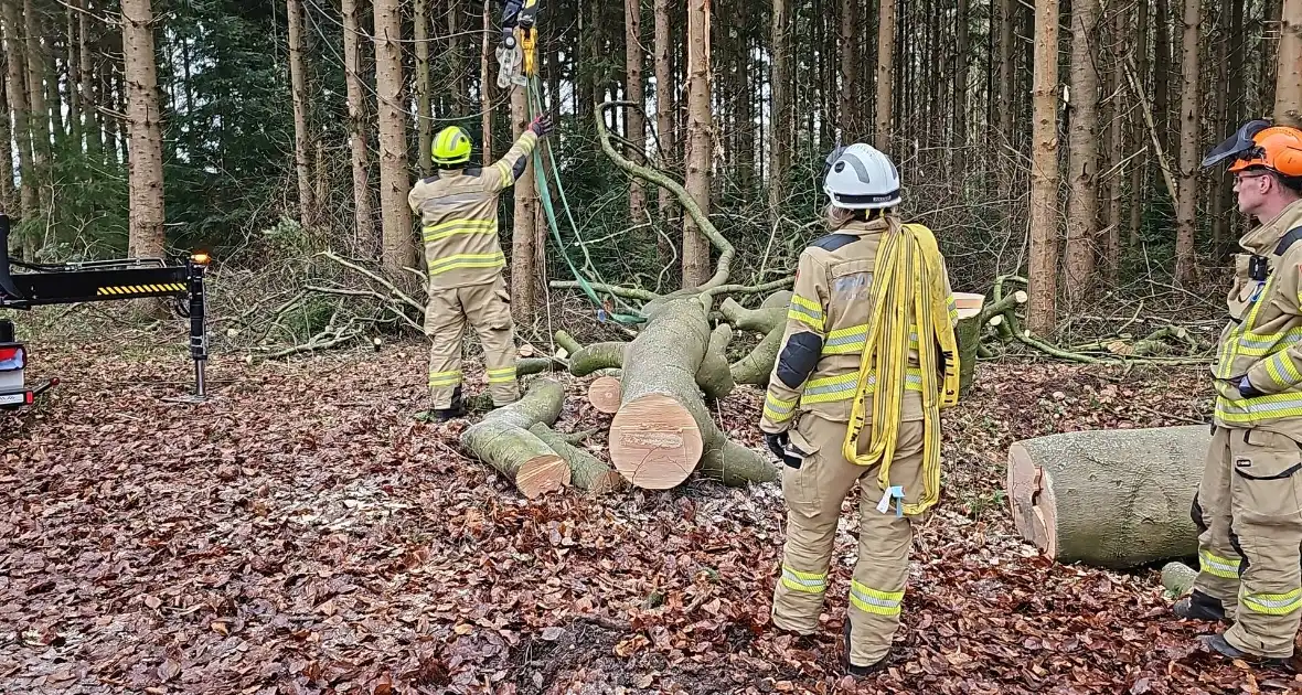 Groot materieel ingezet voor boom over fietspad - Foto 6