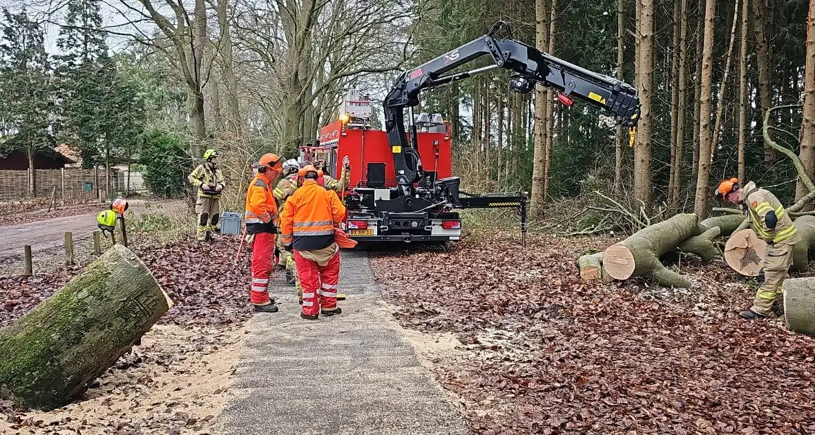 Groot materieel ingezet voor boom over fietspad - Foto 7