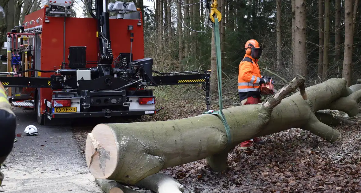 Groot materieel ingezet voor boom over fietspad - Foto 8