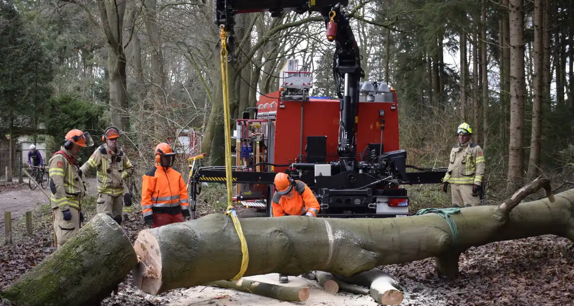 Groot materieel ingezet voor boom over fietspad - Foto 9