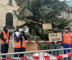 Pro Palestina demo