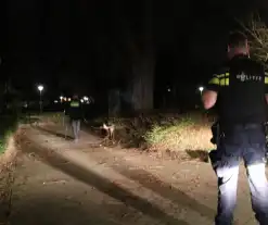 Speurhond zoekt naar vuurwapen na overval