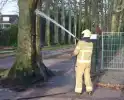 Inwendige boombrand gedoofd