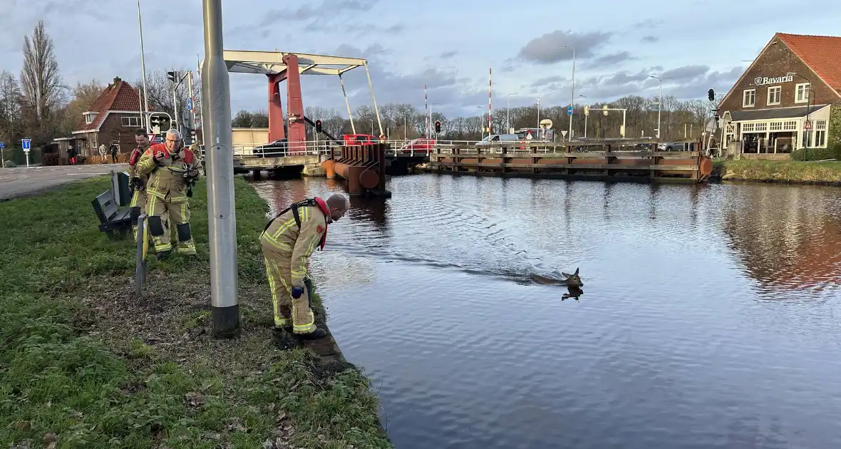 Brandweer redt hert uit vaart - Foto 5