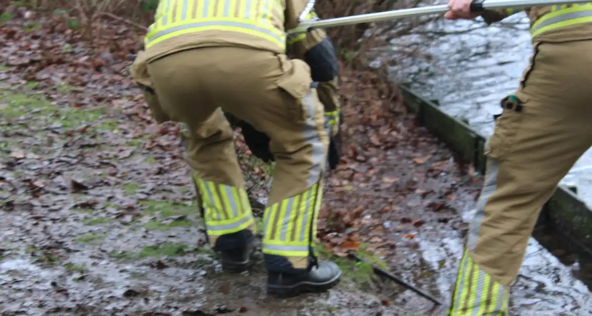 Dier gered door brandweer - Foto 13