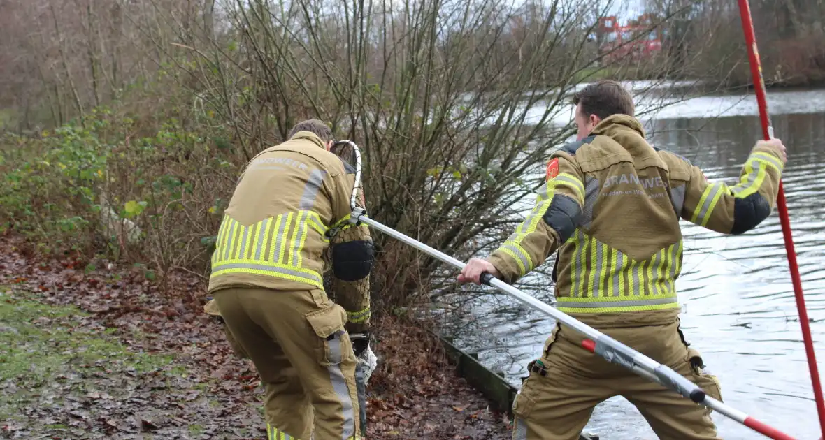 Dier gered door brandweer - Foto 15