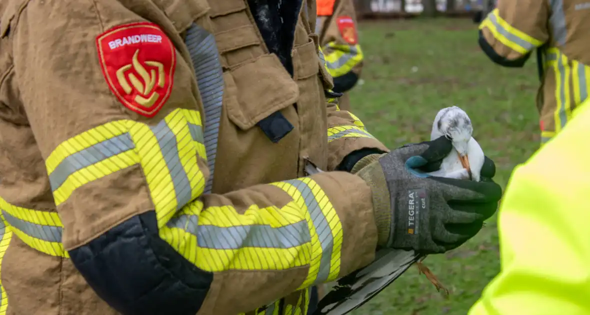 Dier gered door brandweer - Foto 22