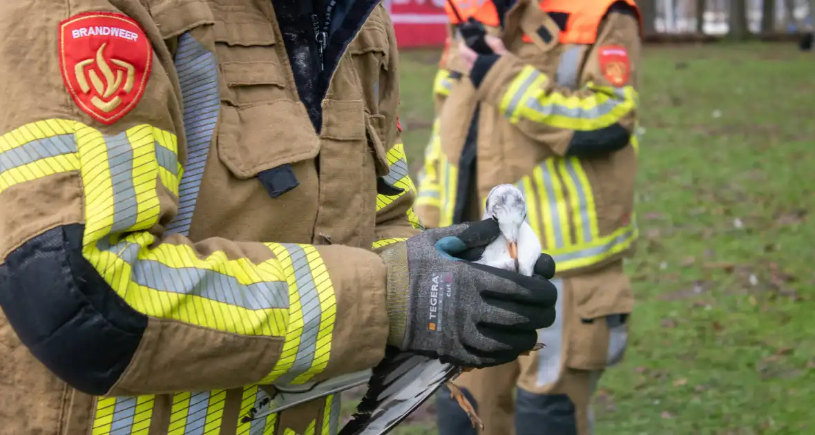 Dier gered door brandweer - Foto 24