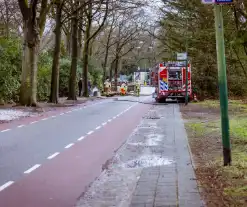 Boom in stukken gezaagd na brand