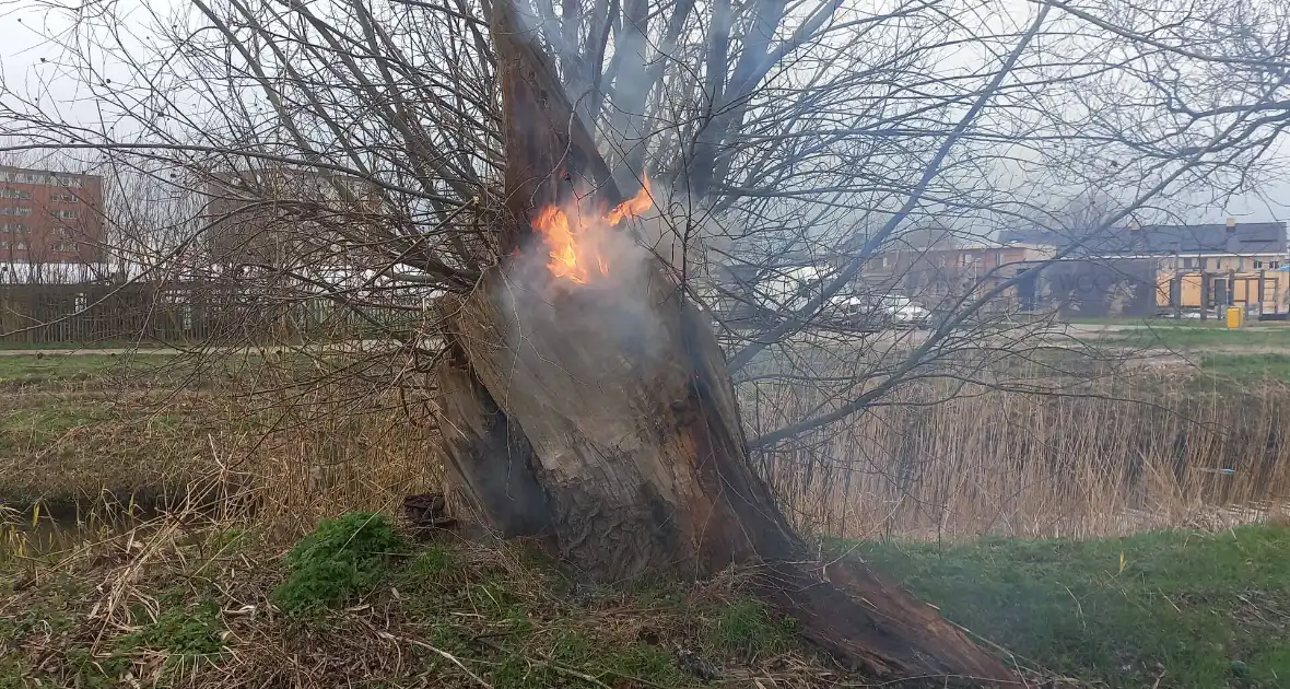 Boom in brand gestoken - Foto 1