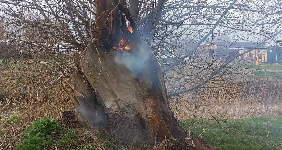 Boom in brand gestoken - Foto 3