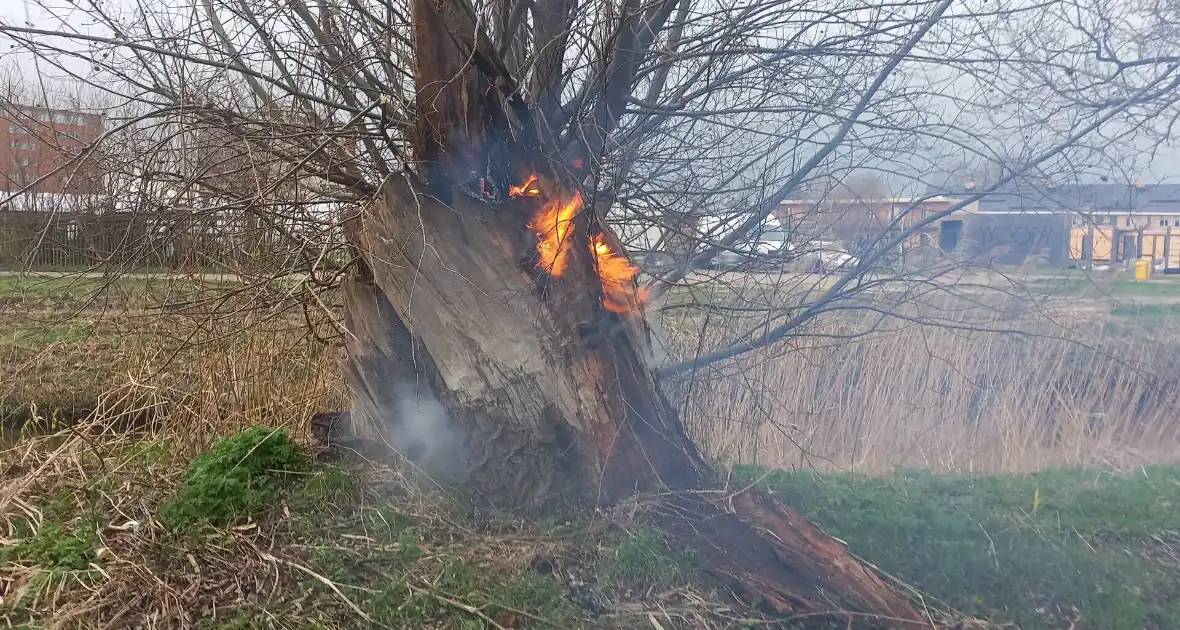 Boom in brand gestoken - Foto 4