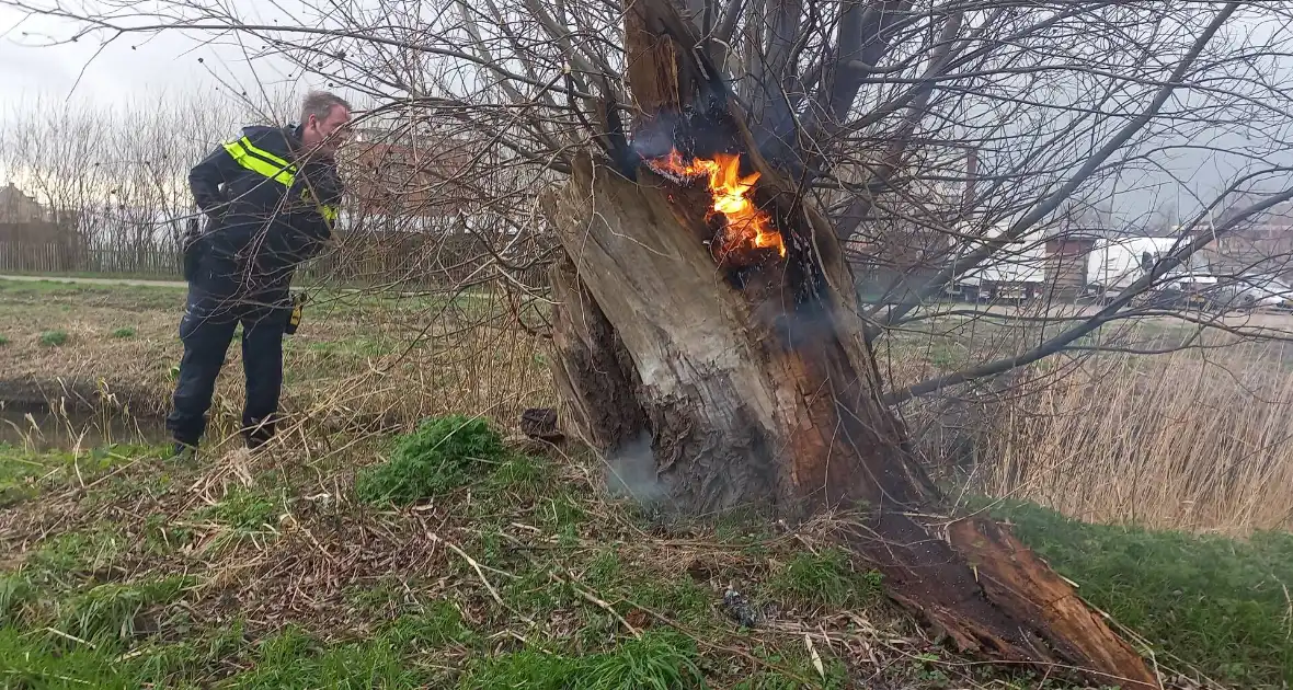 Boom in brand gestoken - Foto 6