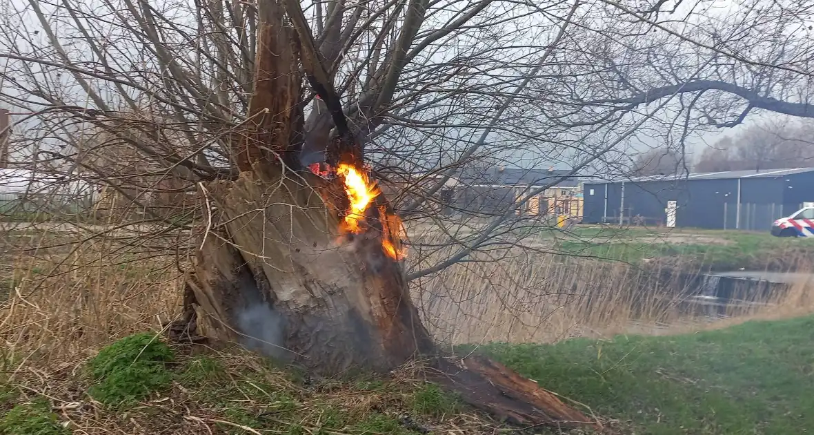 Boom in brand gestoken - Foto 7