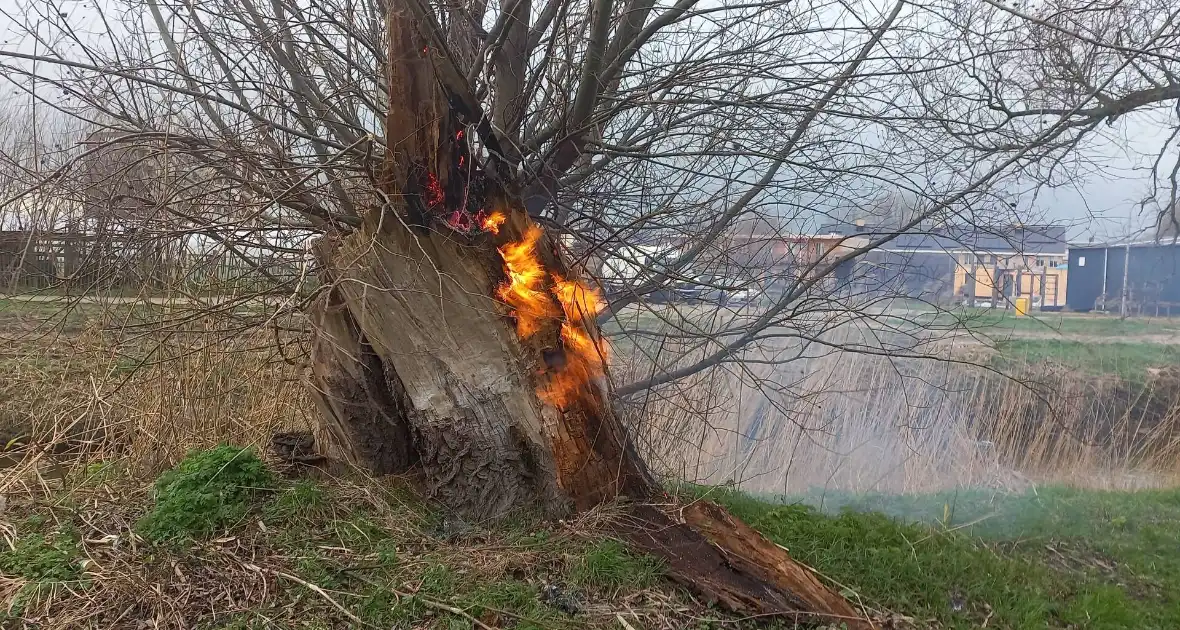 Boom in brand gestoken - Foto 8