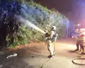 Vuurwerk veroorzaakt brand in heg