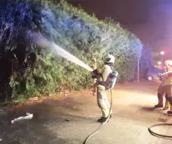 Vuurwerk veroorzaakt brand in heg