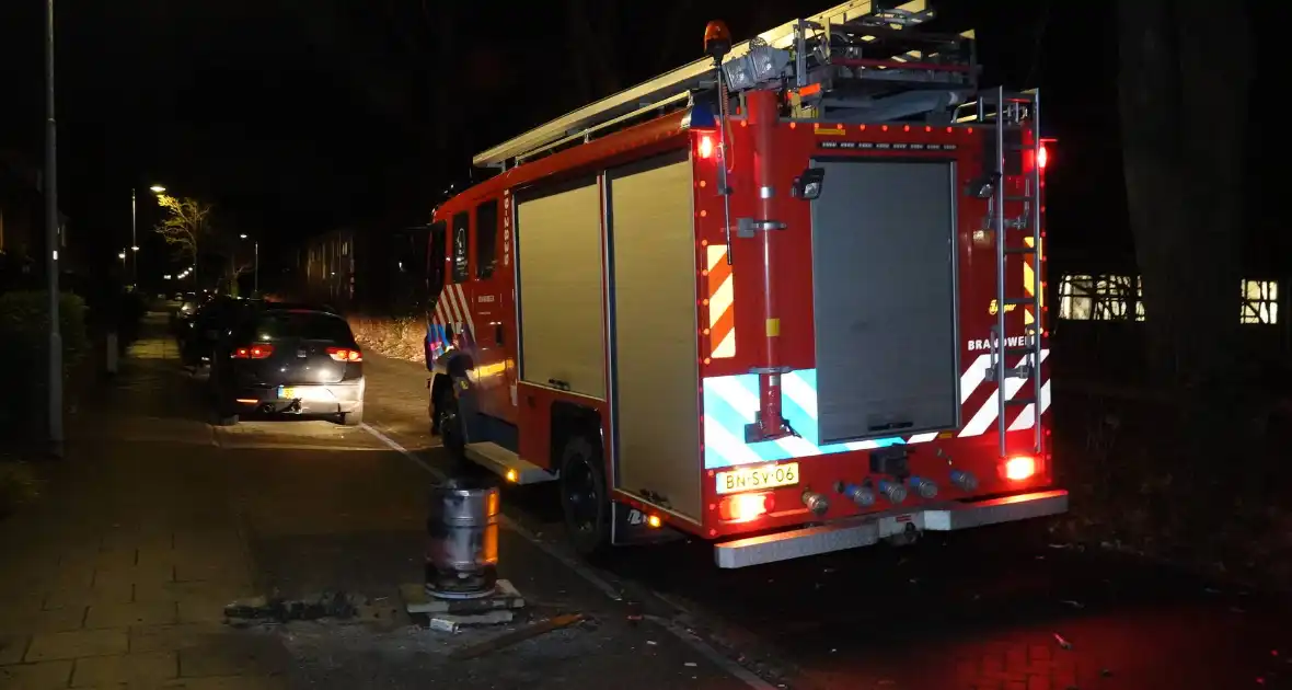 Konijnen overleven brand in hok niet - Foto 1