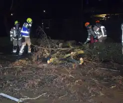 Brandweer en hovenier zagen omgewaaide boom in stukken